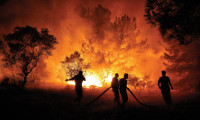 İspanya'da aşırı sıcaklar orman yangınlarına neden oldu