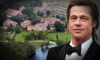 Brad Pitt şatosundaki arazide aylarca define aramış!
