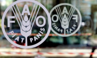 FAO: Gıda fiyatları Mayıs ayında da geriledi