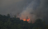 Muğla'da 5 günde çok sayıda noktada orman yangını çıktı