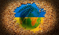 Dünya adım adım gıda krizine doğru... Tahıl krizinin perde arkası!