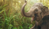 Kansere filler çözüm olabilir