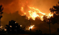 Menderes'te ağaçlık alanda yangın