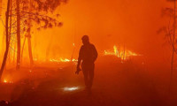 İspanya ve İtalya orman yangınları ile mücadele ediyor
