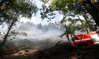 Almanya-Çekya sınırında orman yangını
