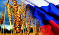  Rusya'da tahıl üretimi azaldı