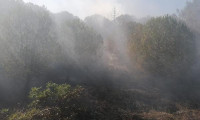 Silivri'de orman yangını