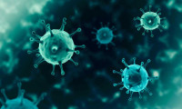 Haftalık korona virüs tablosu açıklandı (18-24 Temmuz)