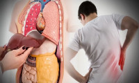 Karaciğer yağlanması neden olur? Bu semptomlara dikkat!