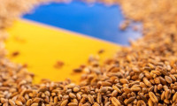  Ukrayna'nın tahıl ihracatı yüzde 46 azaldı