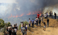 Cezayir'deki orman yangınlarında ölü sayısı 31'e çıktı
