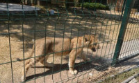 Gölbaşı'ndaki özel hayvanat bahçesi için kapatma kararı 