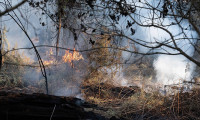Fransa'daki yangın 700 hektar alanı kül etti