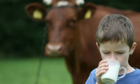 Okul çağındaki çocuklara süt desteği çağrısı 