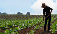 e-Devlet'ten çiftçilere yeni hizmet