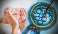 Dondurulmuş embriyo araştırması: Kanser riski daha yüksek!