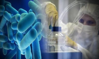 Klinikte bakteri kabusu: 6 kişi öldü!