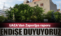 UAEA'dan Zaporijya raporu: Endişe duyuyoruz