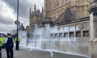 İngiltere’de hayvan hakları savunucularından parlamento binasına boyalı saldırı