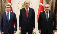 Cumhurbaşkanı Erdoğan, Moldova Meclis Başkanı ile görüştü