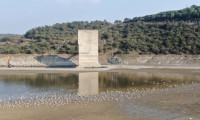 Alibeyköy Barajı kurudu
