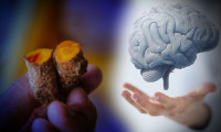 1 gramı beyin hücrelerini yeniliyor: Alzheimer'ı önlüyor!