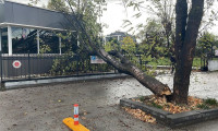 Bolu’da polis noktasının üzerine ağaç devrildi 