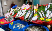 Balık fiyatları havalar soğudukça daha da düşecek