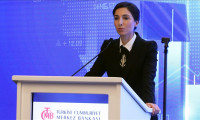 Merkez Bankası Başkanı Erkan'ın sözleri gündemi sarstı