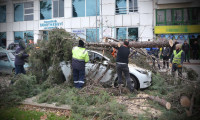 Kocaeli'de fırtına: Deniz taştı, ağaçlar devrildi!