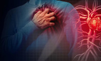 Kalp ve damar hastalıkları için gen araştırması