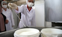 Çiğ sütün işlenmesine yönelik hijyen kurallarında uyum süresi uzatıldı