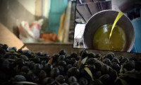 Zeytinyağı üretiminde düşüş: Fiyatlar yüzde 100 arttı!