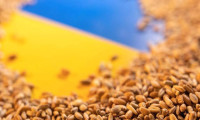 Ukrayna'nın tahıl ihracatı azaldı