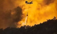 Şili'de orman yangını 750 hektar alanı küle çevirdi