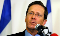 Herzog'dan yargı düzenlemesinin durdurulması çağrısı