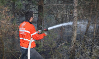 Kastamonu'da orman yangını 