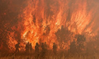 İspanya'da orman yangını: Yüzlerce kişi tahliye edildi