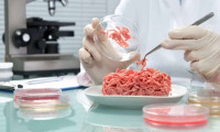 İtalya'da yapay et ve sentetik gıda yasağı