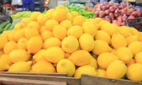 Üretici ile market arasındaki fiyat farkı en fazla limonda