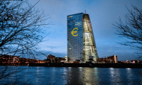 ECB'den 'faiz artışına devam' mesajı