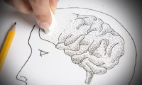 Genç bir beynin tüyoları: İyi bir hafızanın sırrı o vitamin...