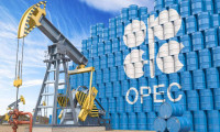 OPEC ilave petrol kesintisi yapacak mı?