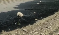 Boğazköy Barajı'nın yüzeyi siyaha büründü