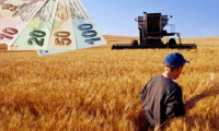 İBB'den çiftçiye 97 milyon lira destek