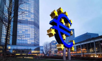 ECB üyeleri 25 baz puanlık faiz artışında anlaştılar