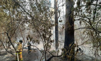 Kazakistan'da büyük orman yangını: 14 işçi hayatını kaybetti