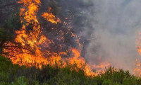 Kazakis'tan 7 gündür orman yangınınla savaşıyor