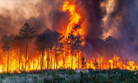 Antalya Valiliği'nden orman yangınları için genelge
