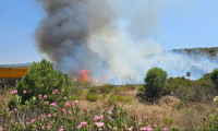 Milas-Bodrum Havalimanı yolunda yangın kontrol altına alındı